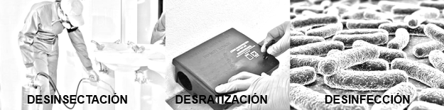 desinfección-desratización-desinsectación